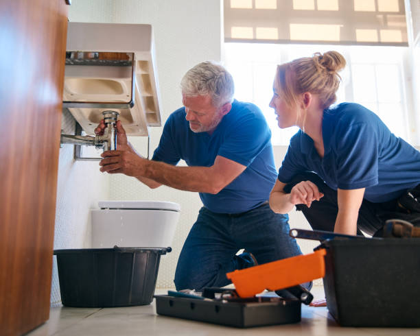 Best Commercial Plumbing Services  in Walled Lake, MI